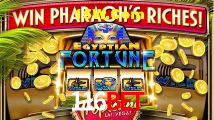 Live Casino 116Bet